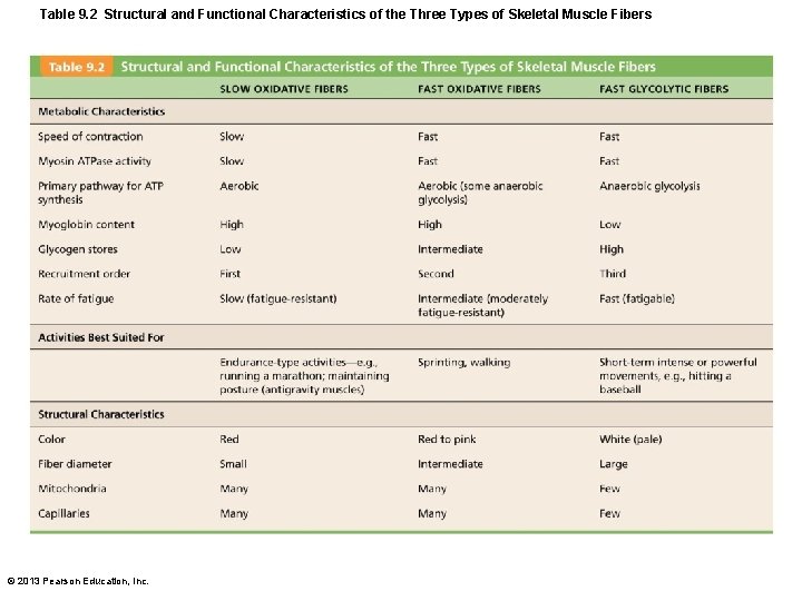 Table 9. 2 Structural and Functional Characteristics of the Three Types of Skeletal Muscle