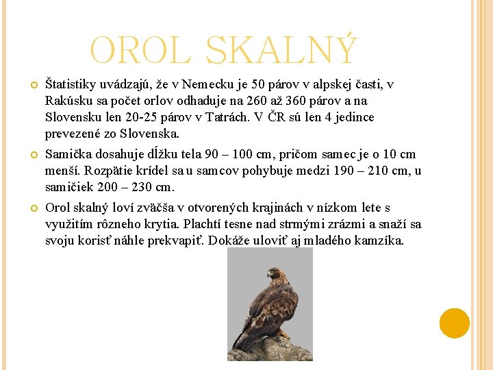 OROL SKALNÝ Štatistiky uvádzajú, že v Nemecku je 50 párov v alpskej časti, v