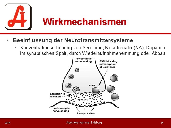 Wirkmechanismen • Beeinflussung der Neurotransmittersysteme • Konzentrationserhöhung von Serotonin, Noradrenalin (NA), Dopamin im synaptischen