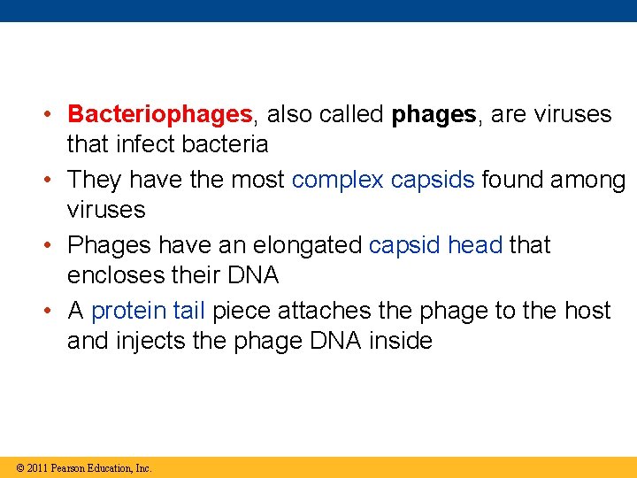  • Bacteriophages, also called phages, are viruses that infect bacteria • They have