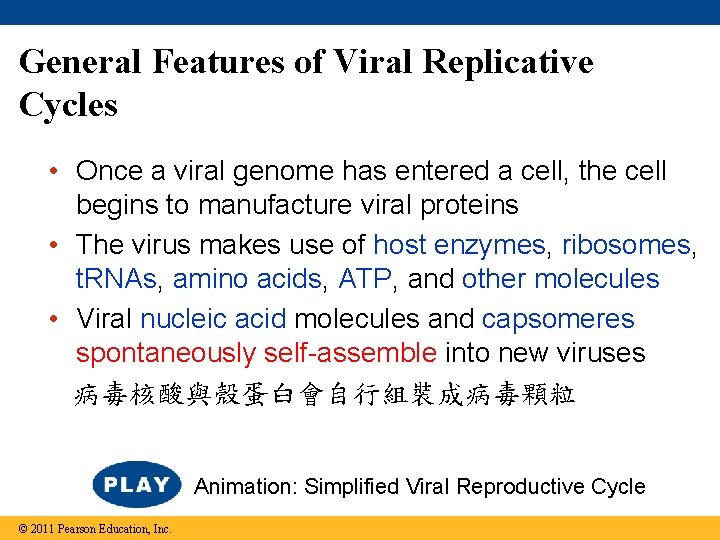 General Features of Viral Replicative Cycles • Once a viral genome has entered a