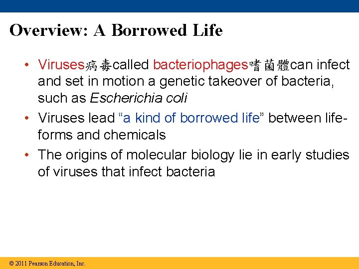 Overview: A Borrowed Life • Viruses病毒called bacteriophages嗜菌體can infect and set in motion a genetic