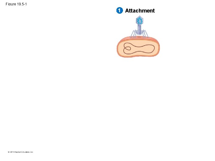 Figure 19. 5 -1 1 Attachment 