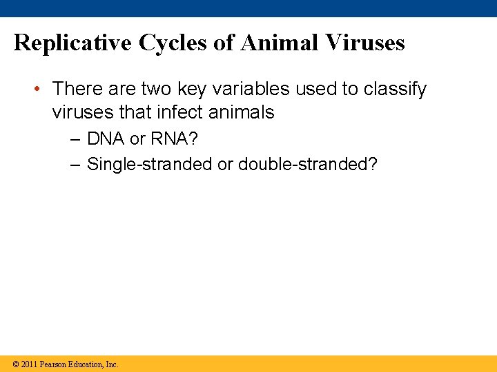 Replicative Cycles of Animal Viruses • There are two key variables used to classify