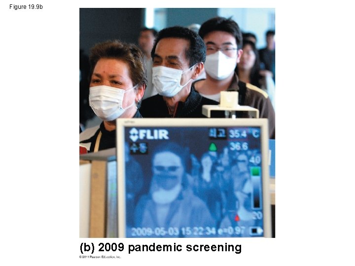 Figure 19. 9 b (b) 2009 pandemic screening 