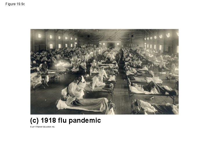 Figure 19. 9 c (c) 1918 flu pandemic 