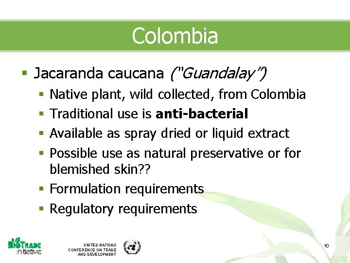 Colombia § Jacaranda caucana (“Guandalay”) Native plant, wild collected, from Colombia Traditional use is