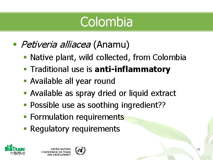 Colombia § Petiveria alliacea (Anamu) § § § § Native plant, wild collected, from