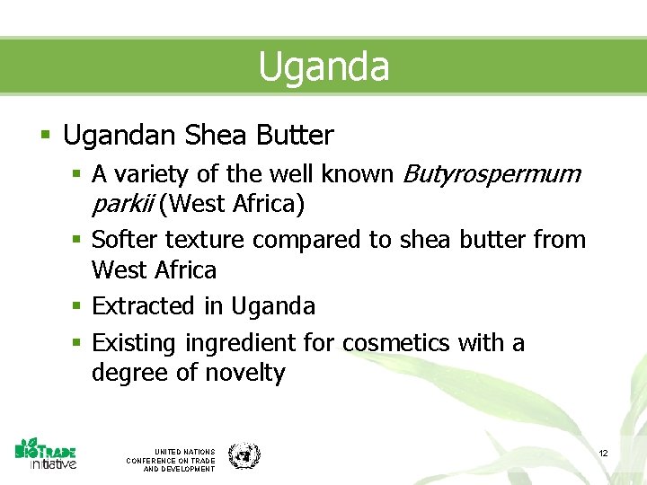 Uganda § Ugandan Shea Butter § A variety of the well known Butyrospermum parkii