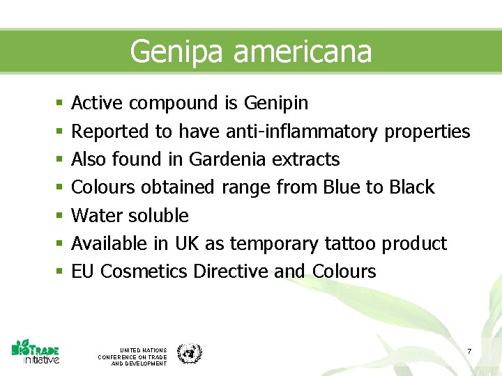 Genipa americana § § § § Active compound is Genipin Reported to have anti-inflammatory