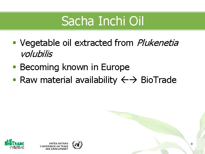 Sacha Inchi Oil § Vegetable oil extracted from Plukenetia volubilis § Becoming known in