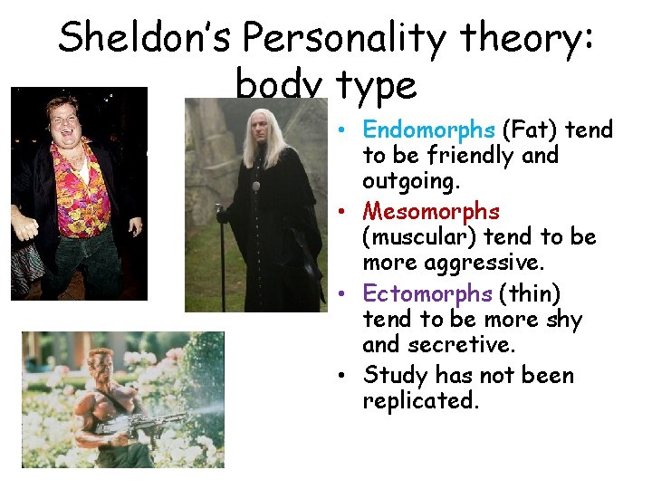 Sheldon’s Personality theory: body type • Endomorphs (Fat) tend to be friendly and outgoing.