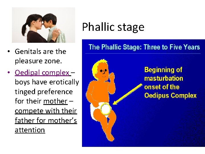 Phallic stage • Genitals are the pleasure zone. • Oedipal complex – boys have