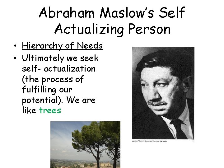 Abraham Maslow’s Self Actualizing Person • Hierarchy of Needs • Ultimately we seek self-