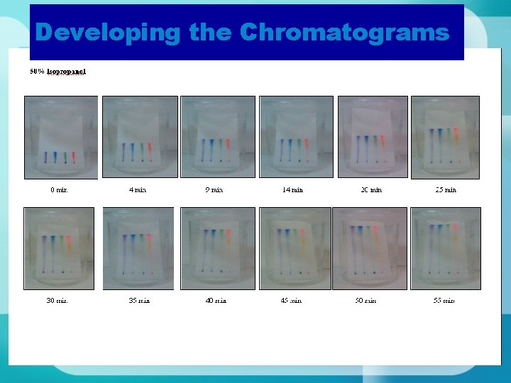 Developing the Chromatograms 