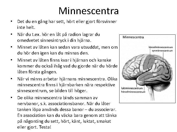 Minnescentra • Det du en gång har sett, hört eller gjort försvinner inte helt.