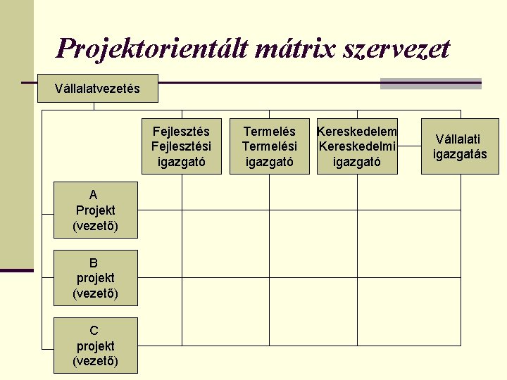 Projektorientált mátrix szervezet Vállalatvezetés Fejlesztési igazgató A Projekt (vezető) B projekt (vezető) C projekt