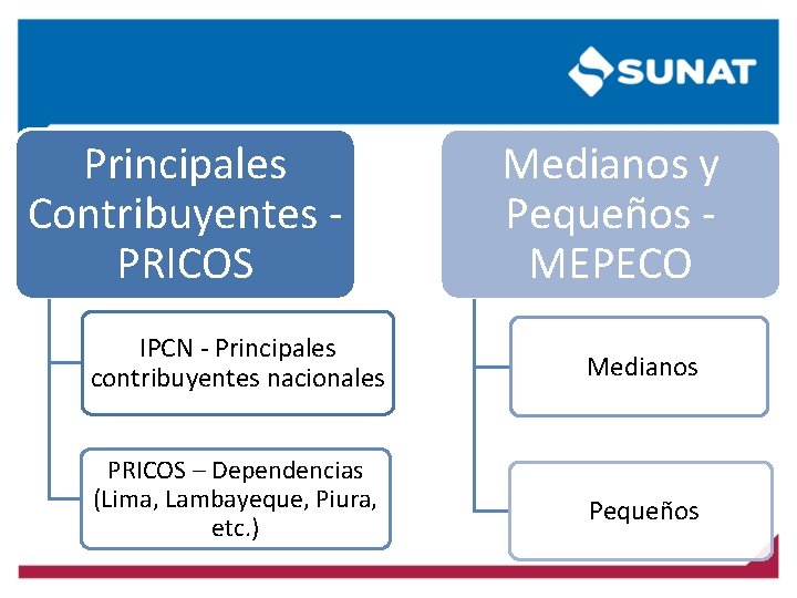 Principales Contribuyentes - PRICOS Medianos y Pequeños - MEPECO IPCN - Principales contribuyentes nacionales