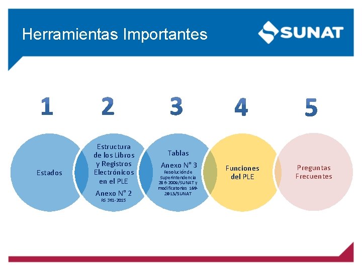 Herramientas Importantes Estados Estructura de los Libros y Registros Electrónicos en el PLE Anexo Herramientas Importantes Estados Estructura de los Libros y Registros Electrónicos en el PLE Anexo