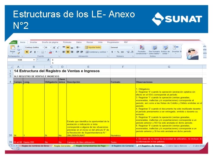 Estructuras de los LE- Anexo N° 2 