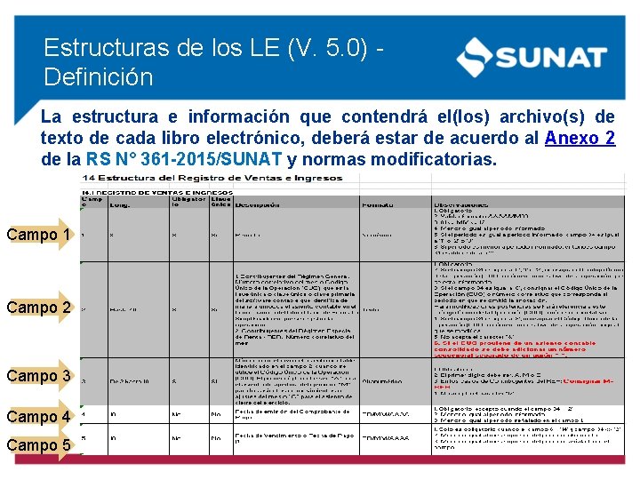 Estructuras de los LE (V. 5. 0) - Definición La estructura e información que