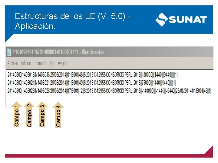 Campo 4 Campo 3 Campo 2 Campo 1 Estructuras de los LE (V. 5.