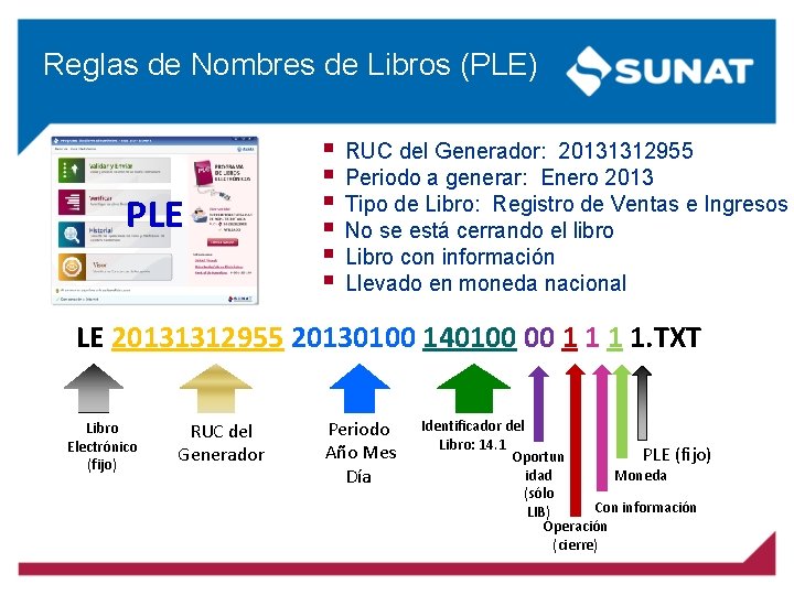 Reglas de Nombres de Libros (PLE) PLE § § § RUC del Generador: 20131312955