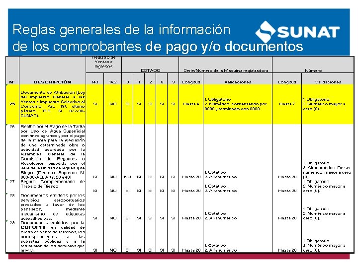 Reglas generales de la información de los comprobantes de pago y/o documentos Reglas generales de la información de los comprobantes de pago y/o documentos