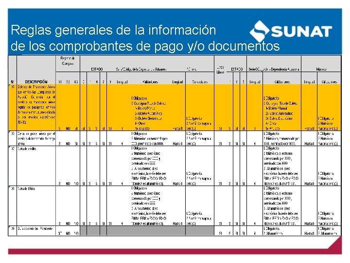 Reglas generales de la información de los comprobantes de pago y/o documentos 