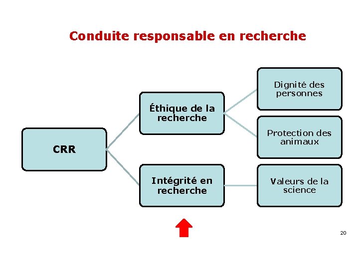 Conduite responsable en recherche Dignité des personnes Éthique de la recherche Protection des animaux