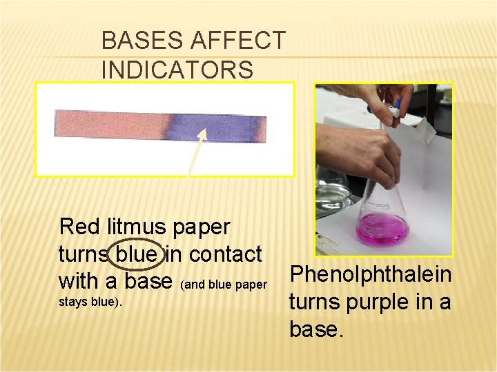 BASES AFFECT INDICATORS Red litmus paper turns blue in contact with a base (and