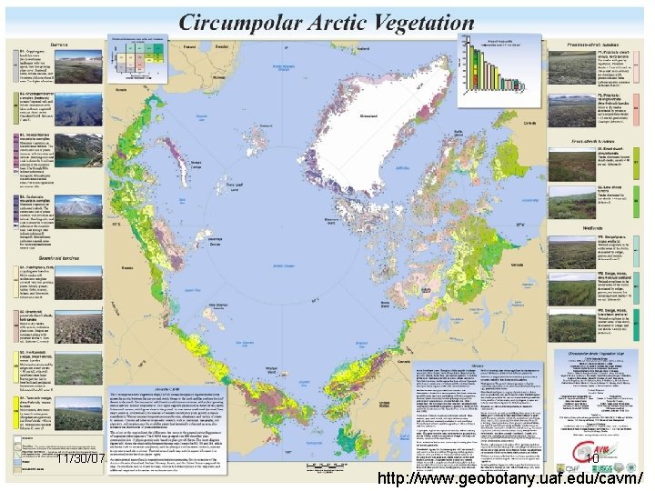 11/30/07 10 http: //www. geobotany. uaf. edu/cavm/ 