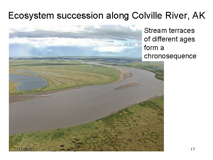 Ecosystem succession along Colville River, AK Stream terraces of different ages form a chronosequence