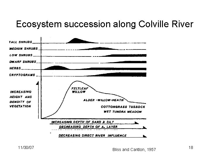 Ecosystem succession along Colville River 11/30/07 Bliss and Cantlon, 1957 18 