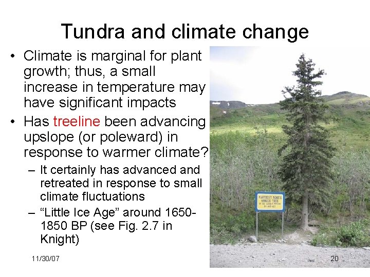 Tundra and climate change • Climate is marginal for plant growth; thus, a small