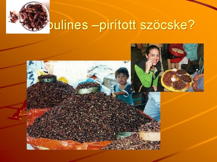 Chapulines –pirított szöcske? 