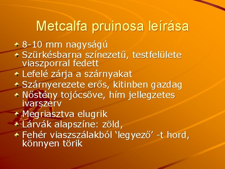 Metcalfa pruinosa leírása 8 -10 mm nagyságú Szürkésbarna színezetű, testfelülete viaszporral fedett Lefelé zárja