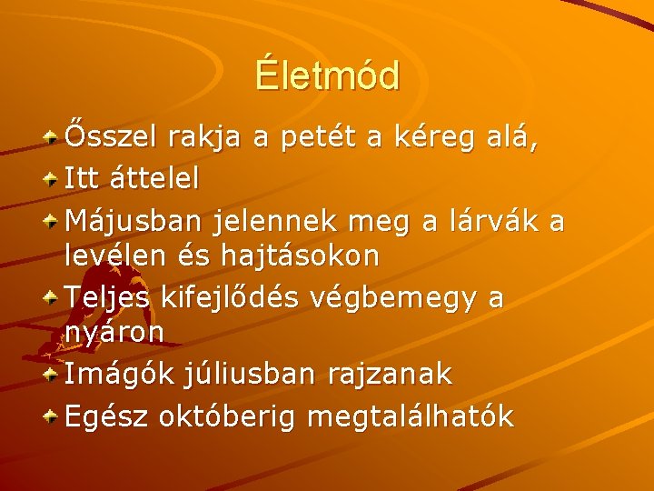 Életmód Ősszel rakja a petét a kéreg alá, Itt áttelel Májusban jelennek meg a