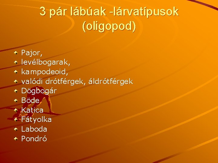 3 pár lábúak -lárvatípusok (oligopod) Pajor, levélbogarak, kampodeoid, valódi drótférgek, áldrótférgek Dögbogár Böde Katica