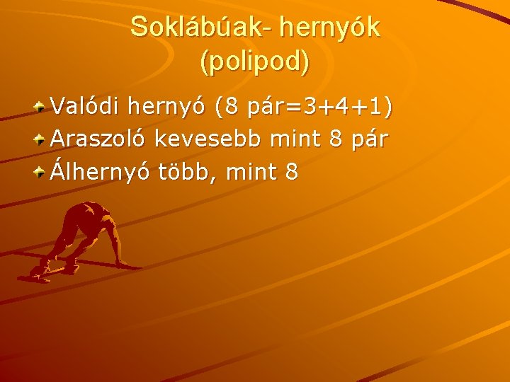 Soklábúak- hernyók (polipod) Valódi hernyó (8 pár=3+4+1) Araszoló kevesebb mint 8 pár Álhernyó több,