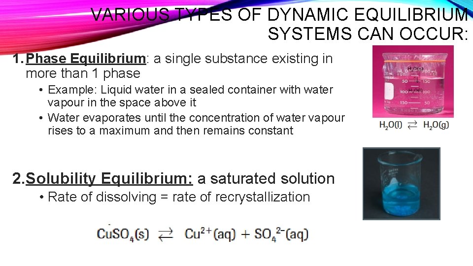 VARIOUS TYPES OF DYNAMIC EQUILIBRIUM SYSTEMS CAN OCCUR: 1. Phase Equilibrium: a single substance