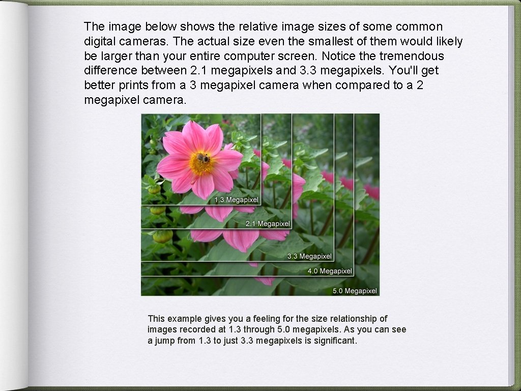 The image below shows the relative image sizes of some common digital cameras. The