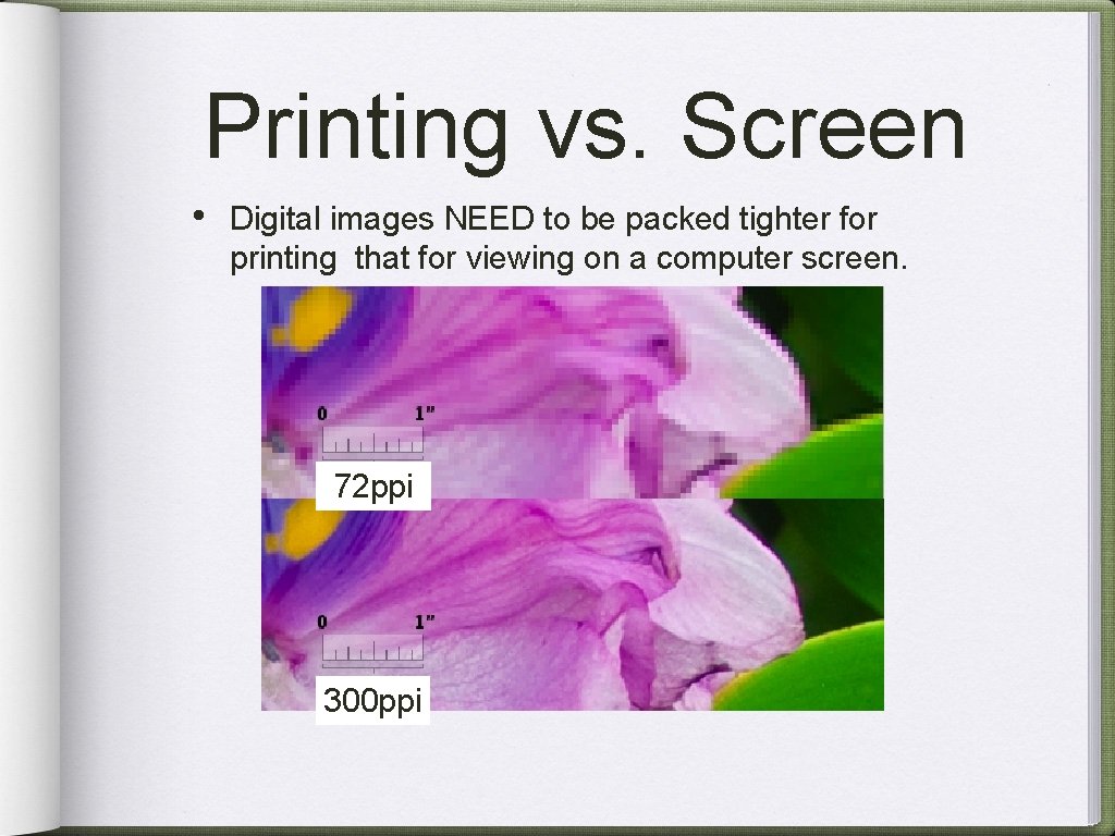 Printing vs. Screen • Digital images NEED to be packed tighter for printing that