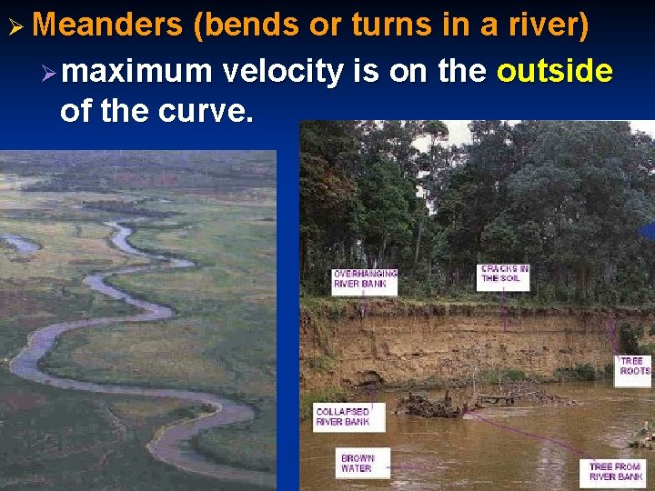 Ø Meanders (bends or turns in a river) Ø maximum velocity is on the