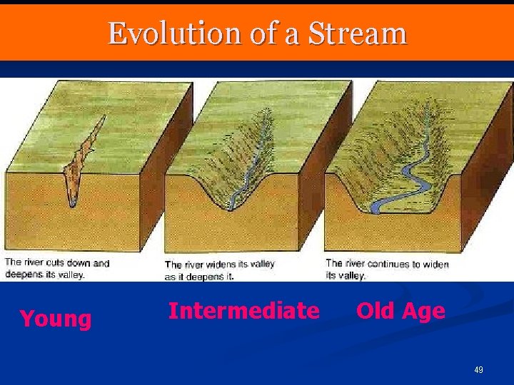 Evolution of a Stream Young Intermediate Old Age 49 