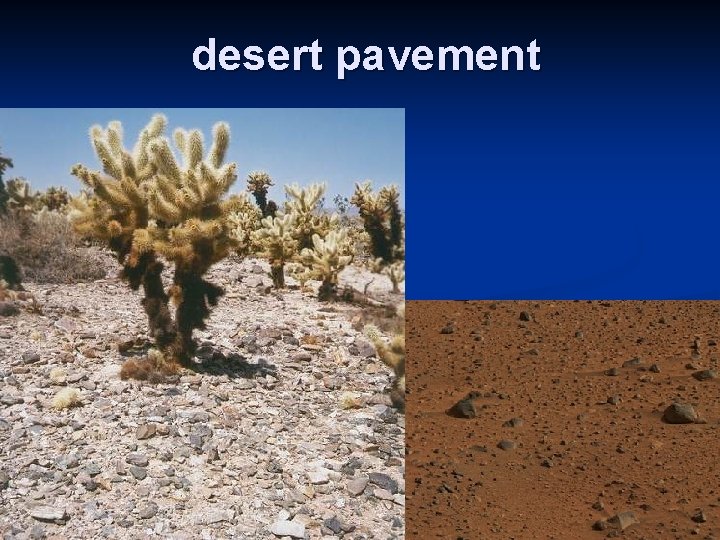 desert pavement 61 