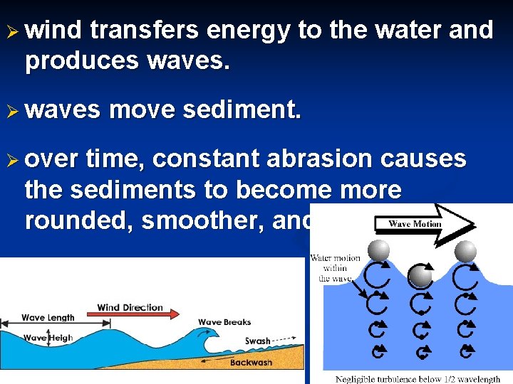 Ø wind transfers energy to the water and produces waves. Ø waves move sediment.
