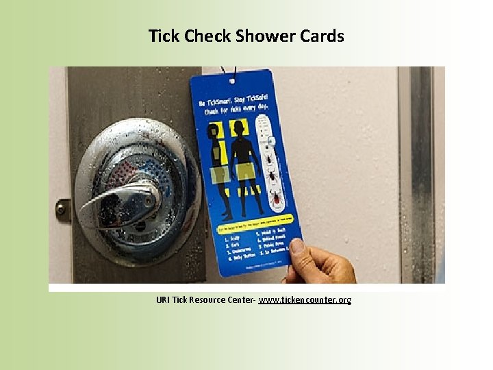 Tick Check Shower Cards URI Tick Resource Center- www. tickencounter. org 