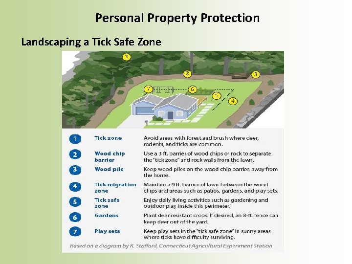 Personal Property Protection Landscaping a Tick Safe Zone 