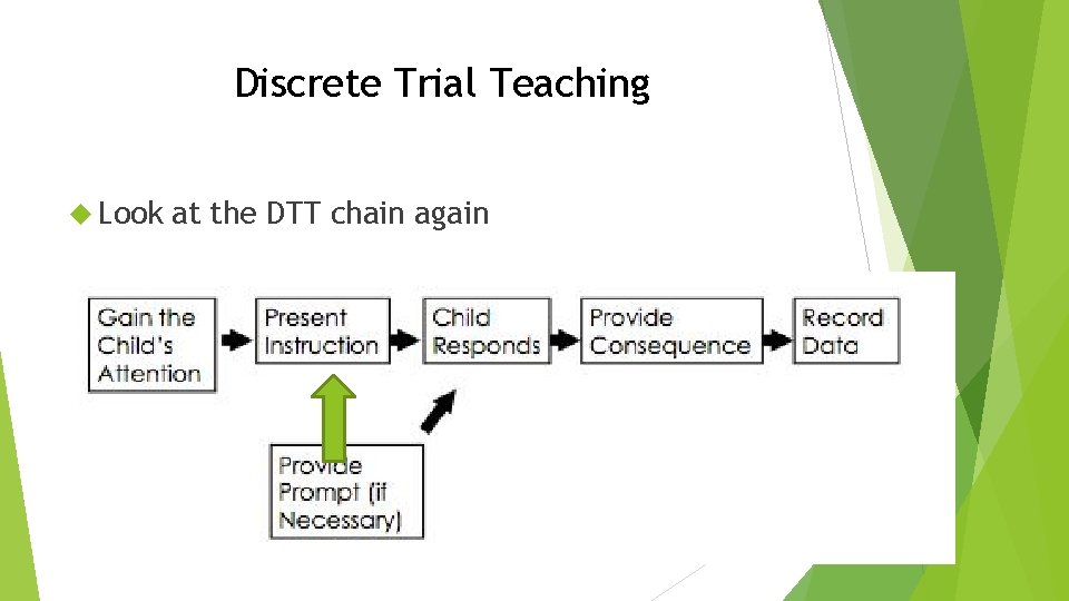 Discrete Trial Teaching Look at the DTT chain again 